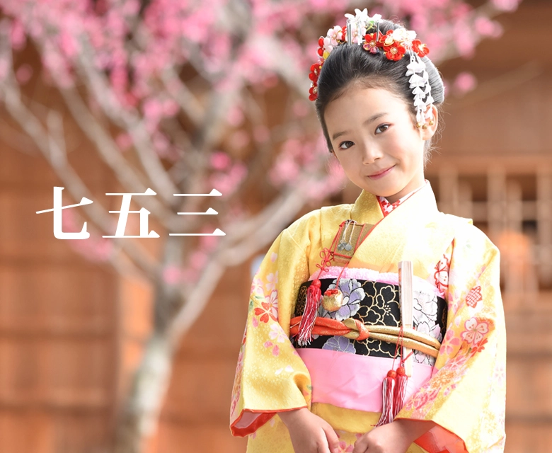 訪問着(藤色に吉祥文様の京友禅)|着物レンタルあき (来店着付け無料 訪問着(藤色に吉祥文様の京友禅)|着物レンタルあき (来店着付け無料