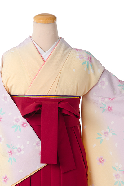 卒業袴(クリーム、藤色ボカシ地・花々着物/エンジ桜刺繍袴)