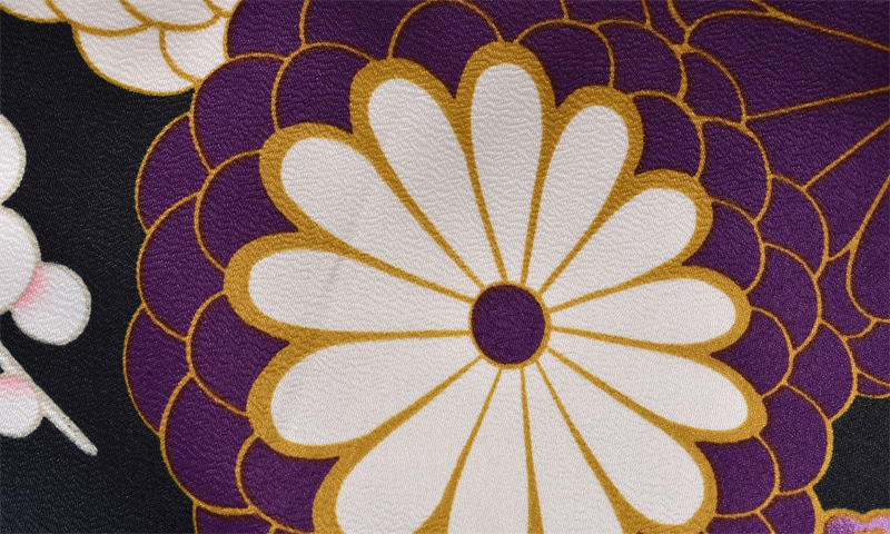 卒業袴［菊と梅×刺繍入り］