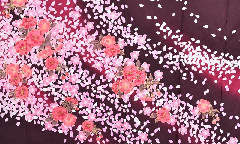 振袖(ボルドー・桜)