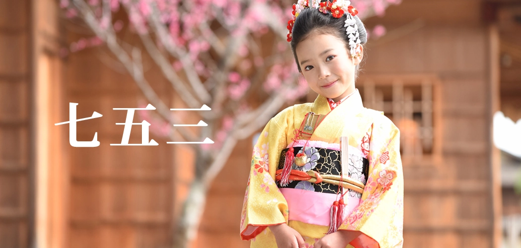 付け下げ 紬 円弧 三日月 桜 稲穂 着物 112a おさな d 