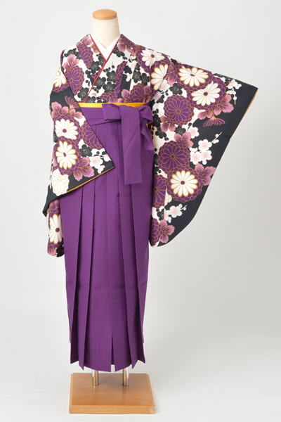 卒業袴(紫・菊）