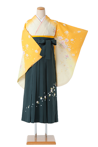 卒業袴(クリーム、黄色ボカシ地・花着物/緑地桜刺繍袴)