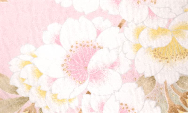 卒業袴(淡いピンク・グリーン・コスモス・蝶)