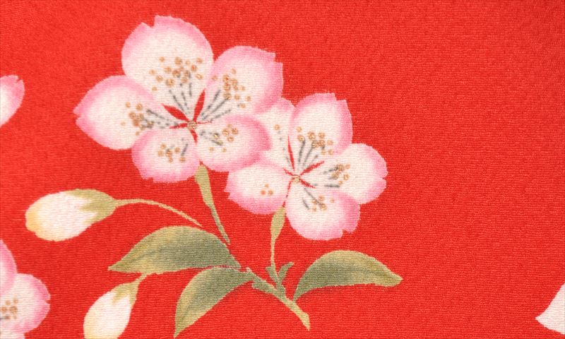 卒業袴(赤・桜)