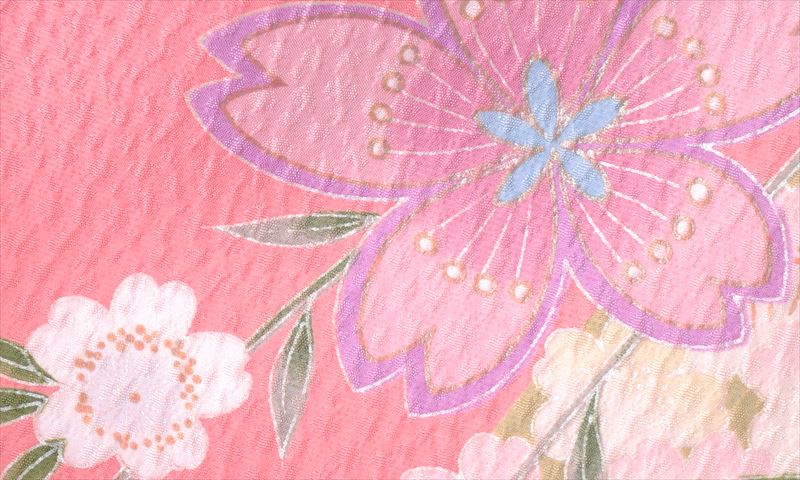 卒業袴[淡いピンク・桜]