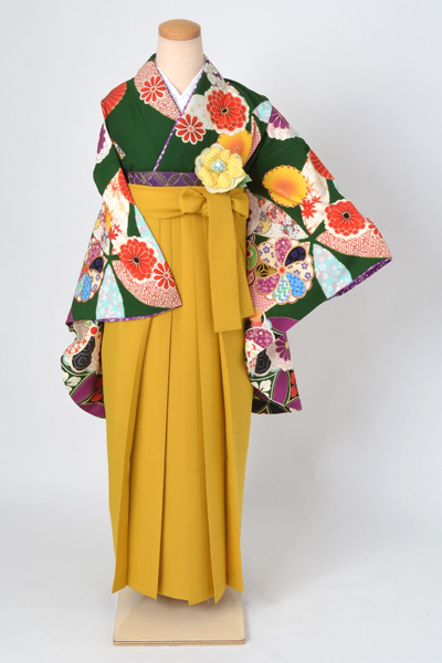 卒業袴［はいばら・緑地の菊模様］