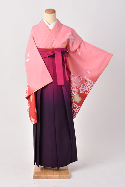 卒業袴[桃色地に大小の桜]